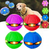 A collection of colorful, spherical flying UFO pet toys for dogs, including pink, red, green, and blue versions.