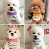 Pet Birthday Hat and Bib Celebration Set