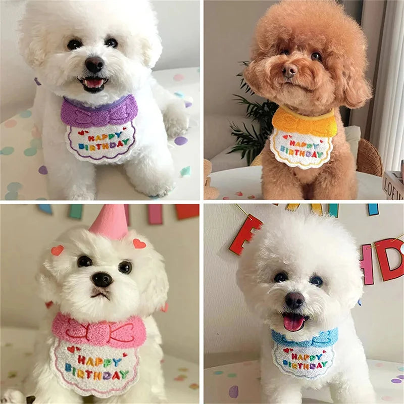 Pet Birthday Hat and Bib Celebration Set
