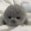 A small, round grey seal plush toy resting on a white surface.