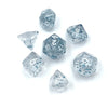 A collection of seven transparent acrylic D6 dice showing various numbers and angles on a white surface.