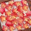 A collection of bright orange and pink maple leaf glass beads for DIY jewelry making