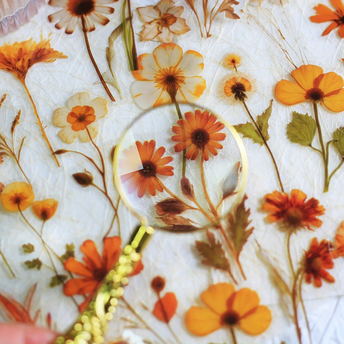 A close-up of a floral PET sticker pack featuring transparent orange and yellow flowers on white paper.