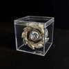 Beyblade X CX-00 Valkyrie Volt S4-70V Spinning Top Toy