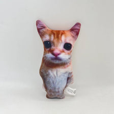 A small, plush cat doll with orange and pink fur and large dark eyes.