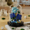 A glass dome display of a blue eternal rose flower kit featuring blue and white blossoms on a dark base.