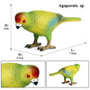 Realistic Bird Figurine Set – Educational PVC Models for Kids and Collectors