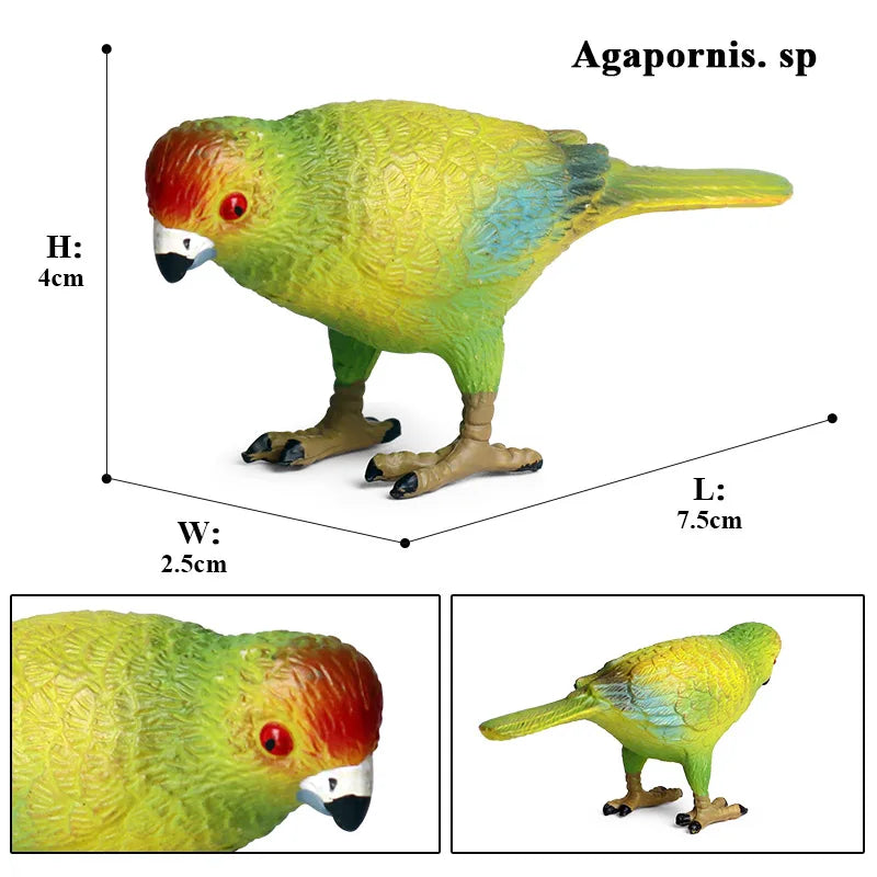 Realistic Bird Figurine Set – Educational PVC Models for Kids and Collectors