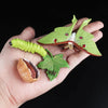 A hand holds a green butterfly with a white body and a green caterpillar on a leaf, demonstrating an animal and plant life cy