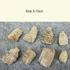 A collection of natural microporous aquarium stones in various shapes and sizes, showing different textures and colors.