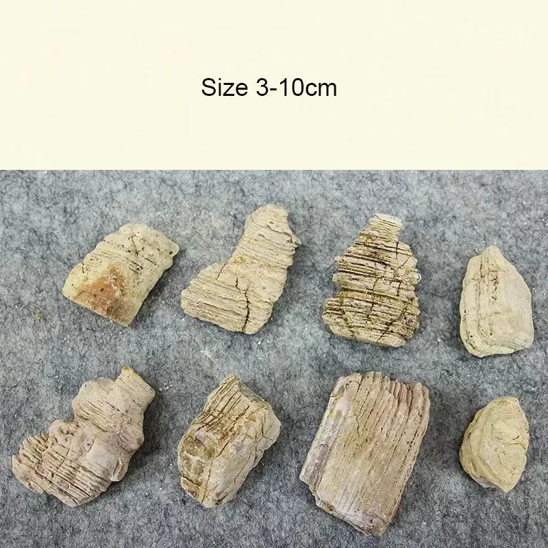 A collection of natural microporous aquarium stones in various shapes and sizes, showing different textures and colors.