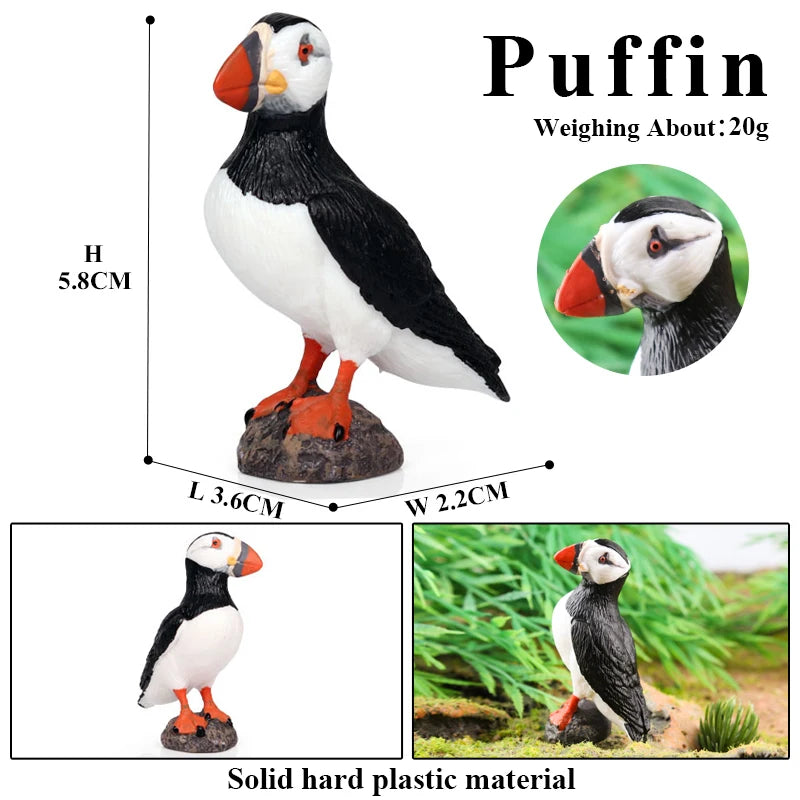 Realistic Bird Figurine Set – Educational PVC Models for Kids and Collectors