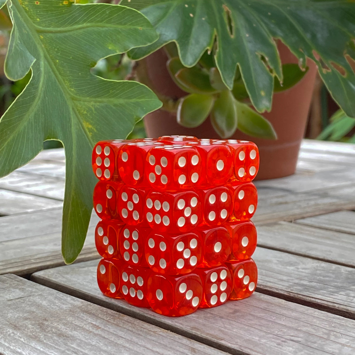 A stack of 36 transparent red and white dice set on a wooden surface next to a green plant.