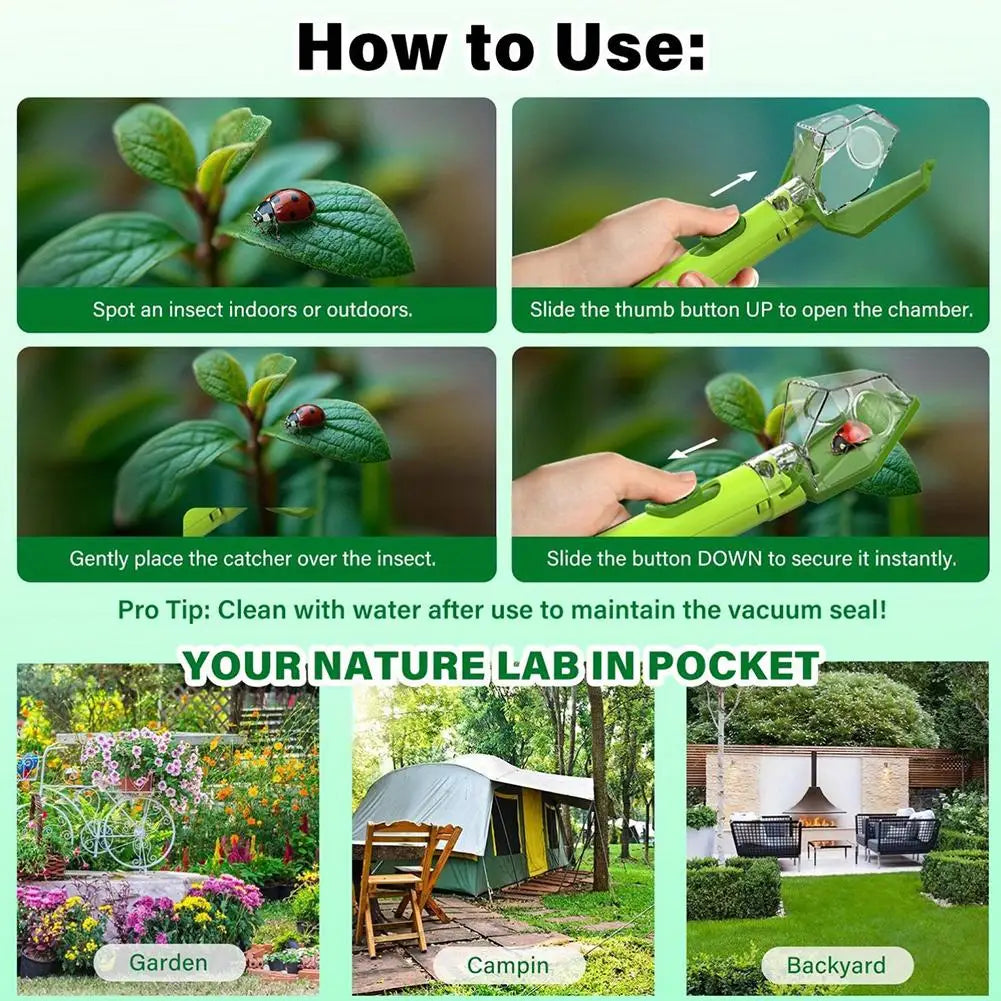 Instructions for using a Kids Bug Catcher with a magnifying viewer to spot and catch insects.