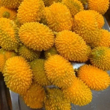 Crunchy Durian & Dragon Fruit Stress Ball – Squeeze Toy Set