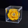 Beyblade X CX-00 Valkyrie Volt S4-70V Spinning Top Toy