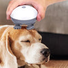 A person is using an electric scalp and body massager on a dog's head.