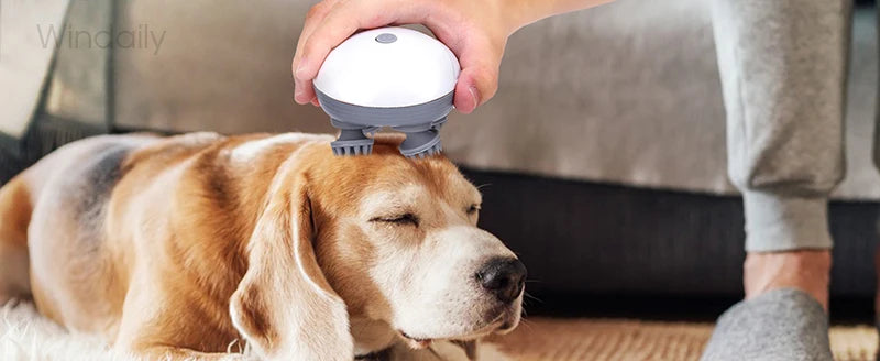 A person is using an electric scalp and body massager on a dog's head.
