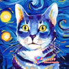 Starry Sky Cat 5D Diamond Painting Kit