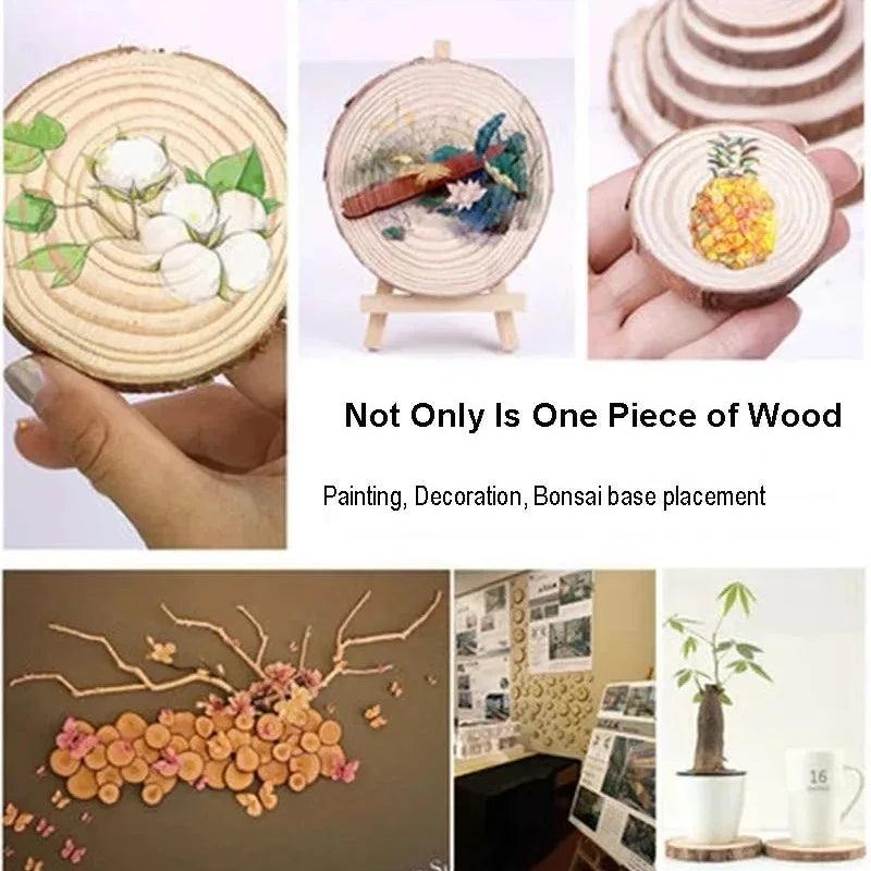 Natural Pine Wood Slices for DIY Crafts and Decor