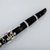 Professional Bb Clarinet with Case