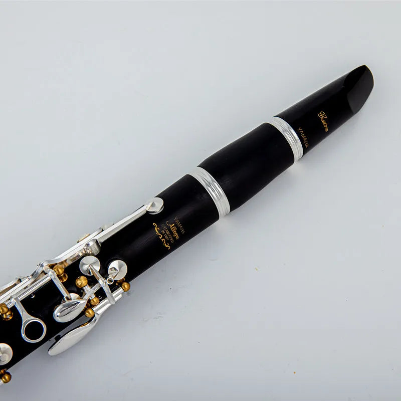 Professional Bb Clarinet with Case