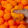 Crunchy Durian & Dragon Fruit Stress Ball – Squeeze Toy Set