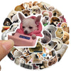 A circular arrangement of various funny animal meme stickers featuring dogs and cats.