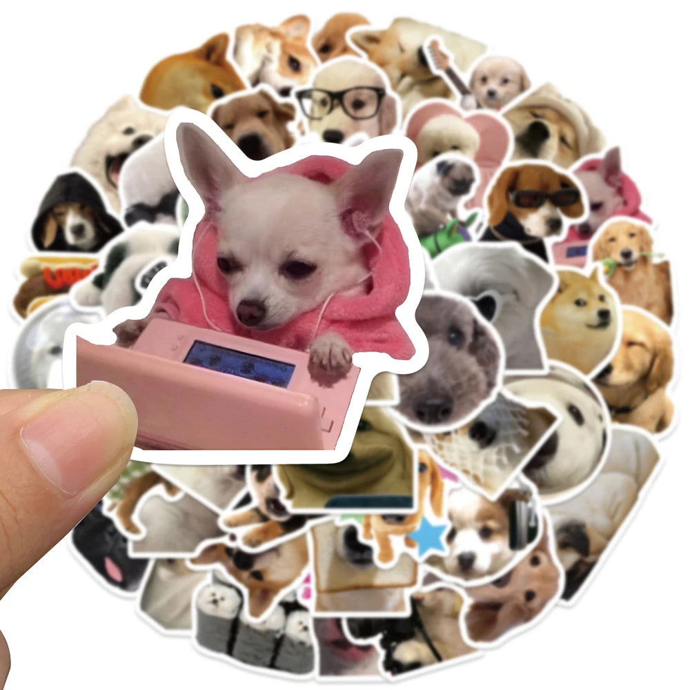 A circular arrangement of various funny animal meme stickers featuring dogs and cats.