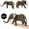 Realistic Wild Animal Figures - Leopard, Tiger, Lion, Elephant, Zebra Set