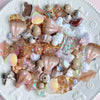 A collection of iridescent and pastel acrylic bow and flower beads for DIY jewelry making