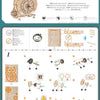 A set of wooden owl wall clocks and related parts for a DIY assembly kit.