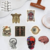A collection of various scientific anatomy stickers including a rib cage, skull, heart, and brain.