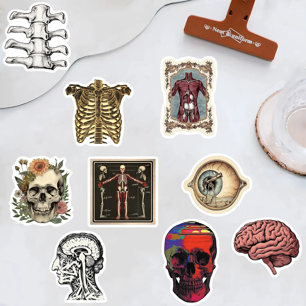 A collection of various scientific anatomy stickers including a rib cage, skull, heart, and brain.