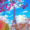 A vibrant painting of the Eiffel Tower framed by pink blossoms against a bright blue sky.