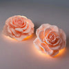 Butterfly Silicone Mold Set for Candle, Clay, and Resin Crafts