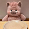 Extra Soft Cute Pig Plush Pillow - 17.7 Inch Comfort Stuffed Animal