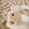 A light tan electric plush puppy toy with long ears is resting on sand.