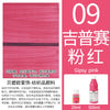 Permanent Fabric Paint for Clothes, T-Shirts & Canvas