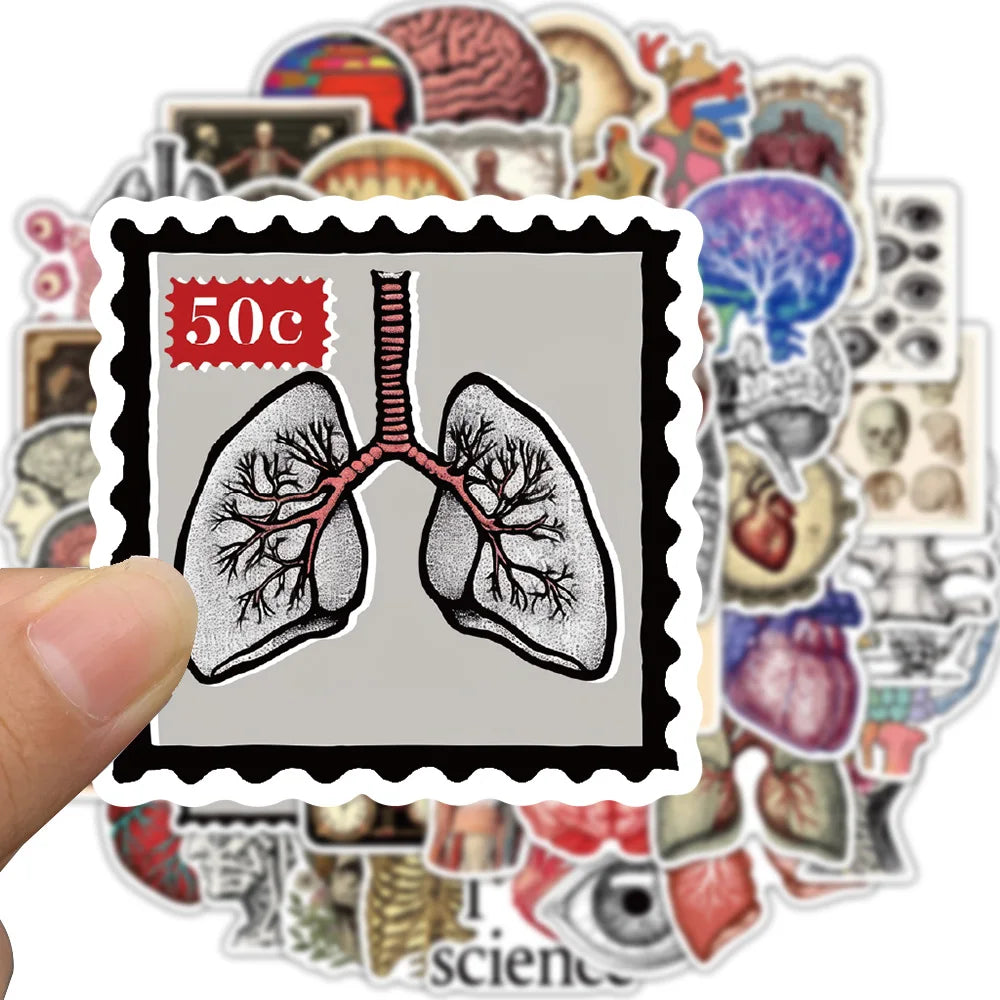 A red-edged sticker featuring a diagram of the human lungs on a gray background, part of a scientific anatomy set.