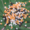 A pile of small, round polymer clay slices in black, white, and orange stripes scattered on a green leaf.