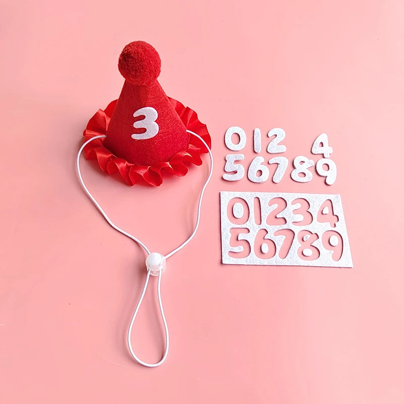 Pet Birthday Hat and Bib Celebration Set