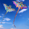 Un cerf-volant nylon delta coloré et vibrant avec une longue ligne s'élevant contre un ciel bleu vif.