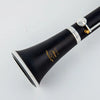 Professional Bb Clarinet with Case