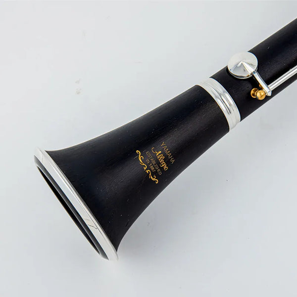 Professional Bb Clarinet with Case