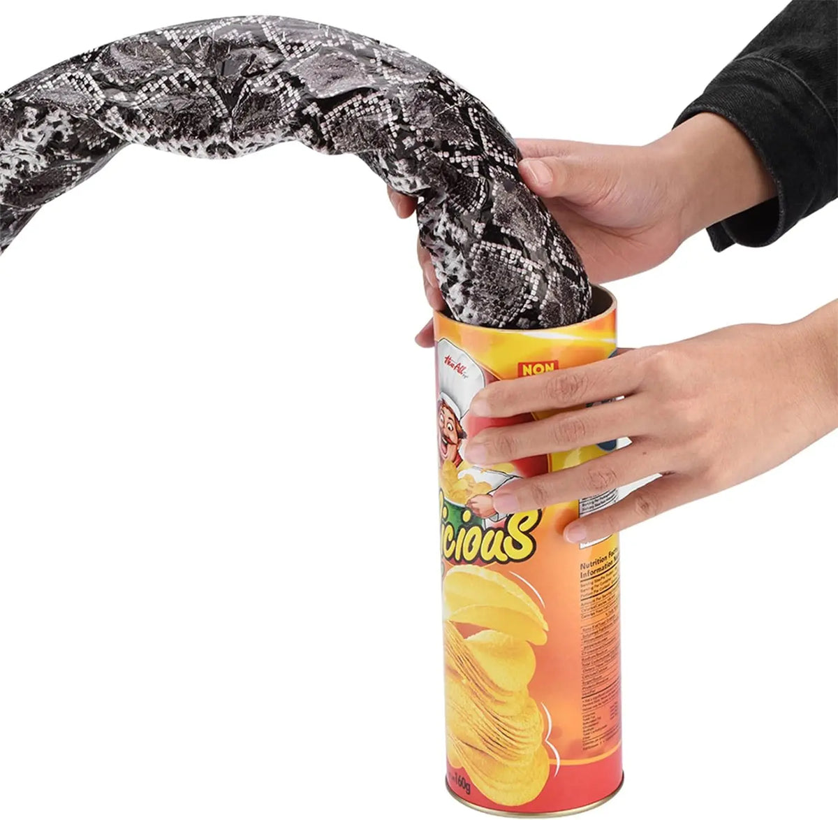 Surprise Prank Snake in a Potato Chip Can