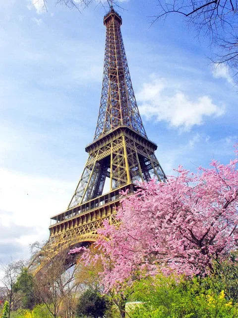 The Eiffel Tower is visible through pink blossoms against a blue sky.