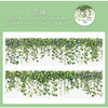 Fresh Vine-themed PET Decorative Tape Roll for Journaling & Crafting