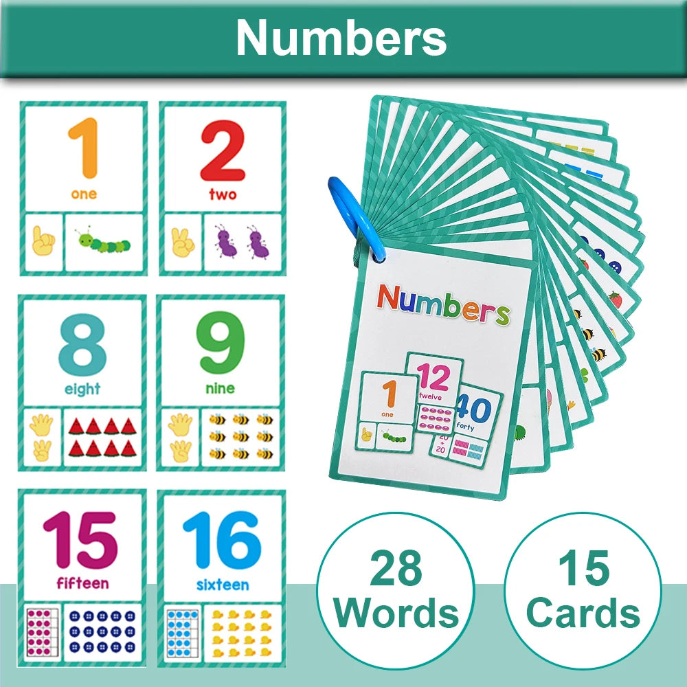 Montessori English Word Learning Cards for Kids