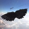 A pair of black feather wings with measurements indicating 10cm and 20cm, shown against a blue sky.
